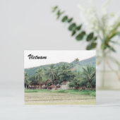 Carte Postale rizières du vietnam (Debout devant)