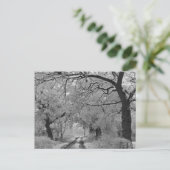 Carte Postale Road en hiver : Cheshire, Angleterre (Debout devant)