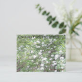 Carte Postale Road side Wonders (Debout devant)