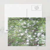 Carte Postale Road side Wonders (Devant / Derrière)