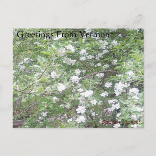 Carte Postale Road side Wonders (Devant)