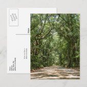 Carte Postale Road To Angel Oak (Devant / Derrière)