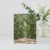 Carte Postale Road To Angel Oak (Debout devant)