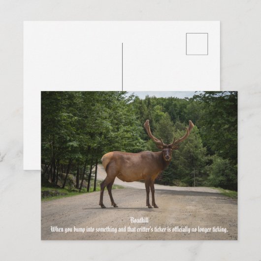 Carte Postale Roadkill (Devant / Derrière)