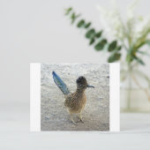 Carte Postale Roadrunner (Debout devant)