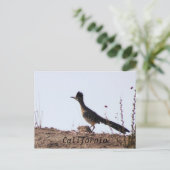 Carte postale RoadRunner California (Debout devant)