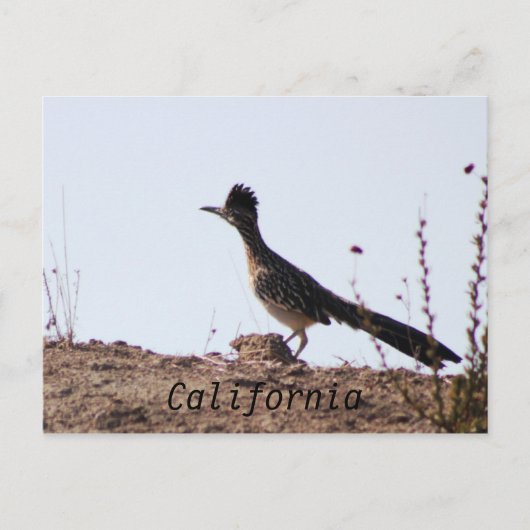 Carte postale RoadRunner California (Devant)