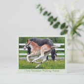 Carte Postale Roan rouge volant (Debout devant)