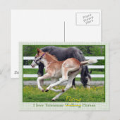 Carte Postale Roan rouge volant (Devant / Derrière)