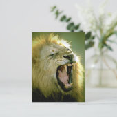 Carte Postale Roaring Lion (Debout devant)