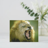 Carte Postale Roaring Lion (Debout devant)