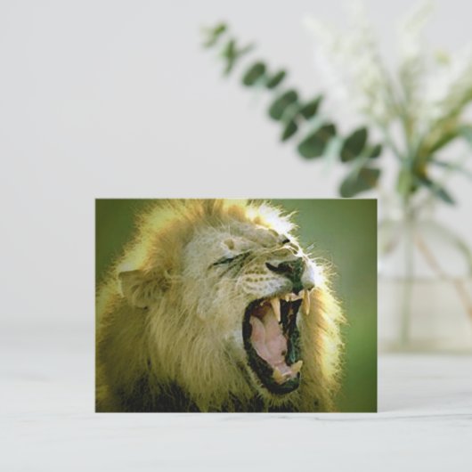 Carte Postale Roaring Lion (Debout devant)