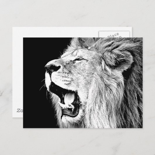 Carte Postale Roaring Lion (Devant / Derrière)