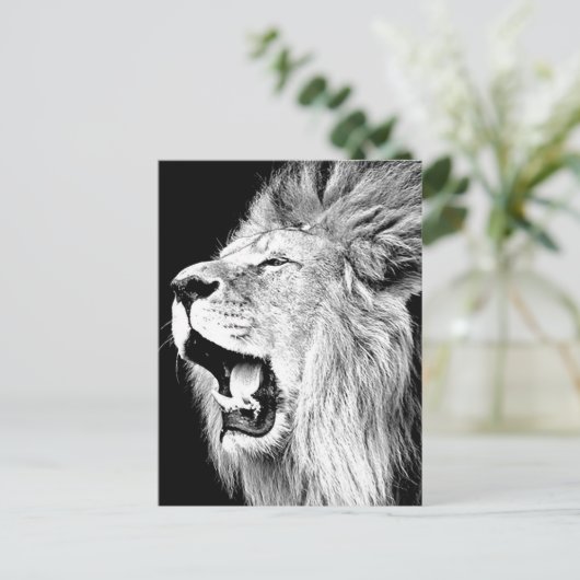 Carte Postale Roaring Lion (Debout devant)