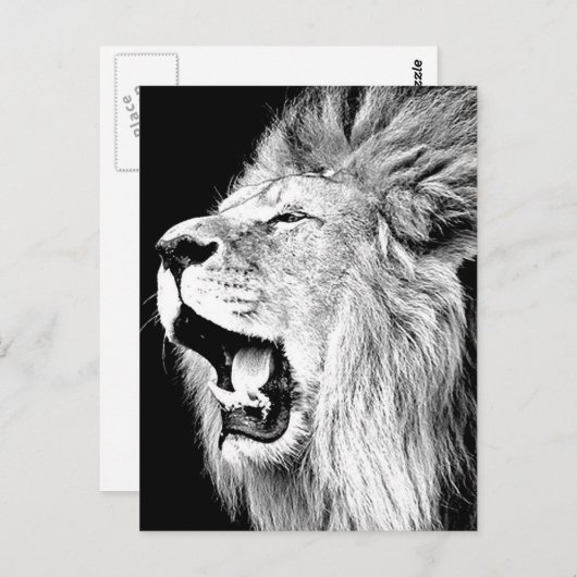 Carte Postale Roaring Lion (Devant / Derrière)