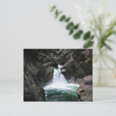 Carte Postale Roaring River Falls, King's Canyon, CA (Debout devant)