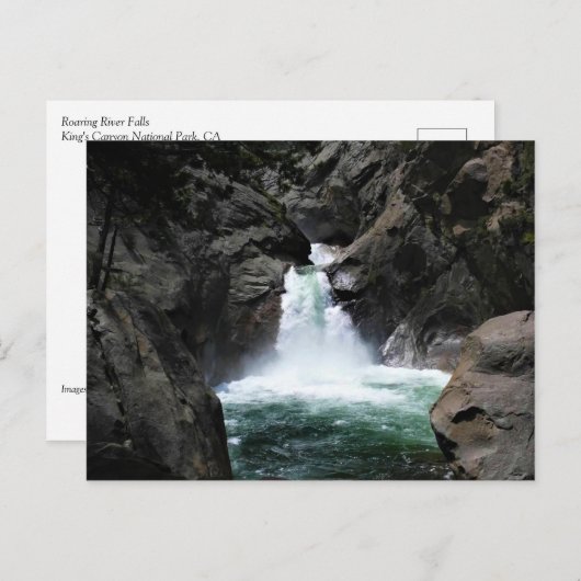 Carte Postale Roaring River Falls, King's Canyon, CA (Devant / Derrière)