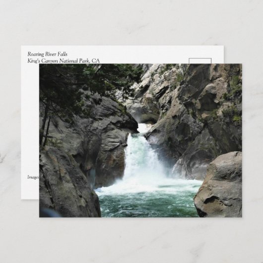 Carte Postale Roaring River Falls, King's Canyon, CA (Devant / Derrière)