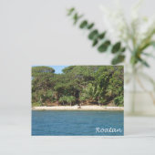 Carte Postale Roatan, Honduras (Debout devant)