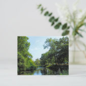 Carte Postale Roath Park Lake, Cardiff, Wales Postcard (Debout devant)