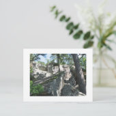 Carte Postale Robbers Caves Oklahoma (Debout devant)