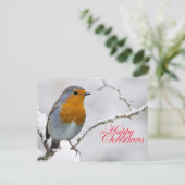 Carte Postale Robbin Redsein (Debout devant)