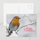 Carte Postale Robbin Redsein (Devant / Derrière)