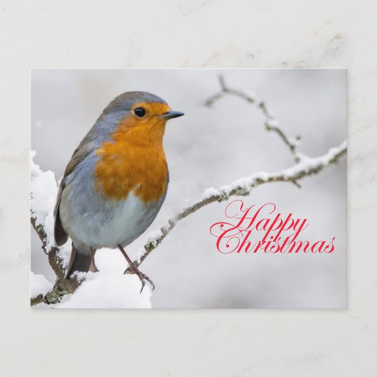 Carte Postale Robbin Redsein (Devant)