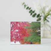 Carte Postale robe (pour s'adapter à l'humeur) (Debout devant)