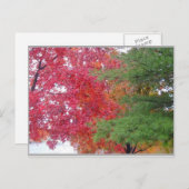 Carte Postale robe (pour s'adapter à l'humeur) (Devant / Derrière)