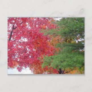 Carte Postale robe (pour s'adapter à l'humeur)