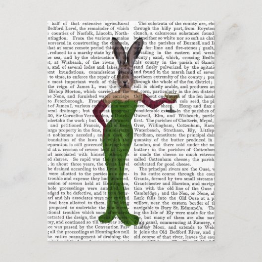 Carte Postale Robe verte de lapin (Devant)