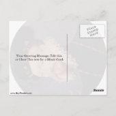 Carte Postale Robert Earl De Leicester Par Nicholas Hilliard (Dos)