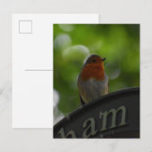 Carte Postale Robin (Devant / Derrière)