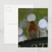 Carte Postale Robin (Devant / Derrière)