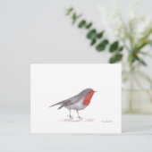 Carte Postale Robin (Debout devant)