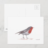 Carte Postale Robin (Devant / Derrière)
