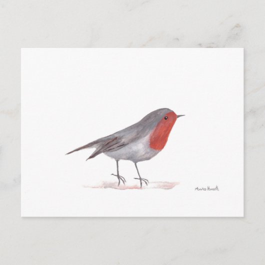 Carte Postale Robin (Devant)