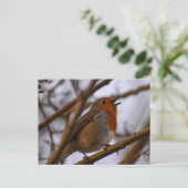 Carte Postale Robin (Debout devant)