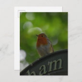 Carte Postale Robin (Devant / Derrière)