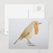 Carte Postale Robin 2011 (Devant / Derrière)