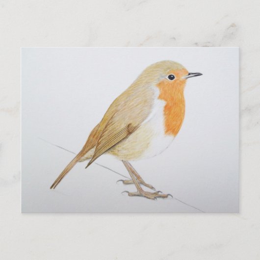 Carte Postale Robin 2011 (Devant)