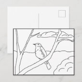Carte postale - Robin à colorier (Devant / Derrière)