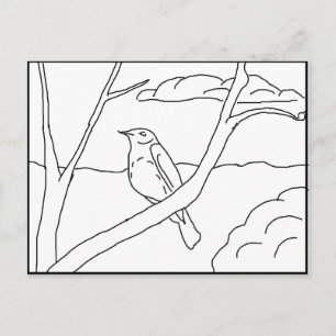 Carte postale - Robin à colorier