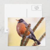 Carte Postale Robin à pompe (Devant / Derrière)