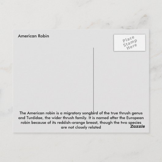 Carte Postale Robin américain (Dos)