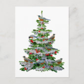 Carte Postale Robin Arbre (Devant)