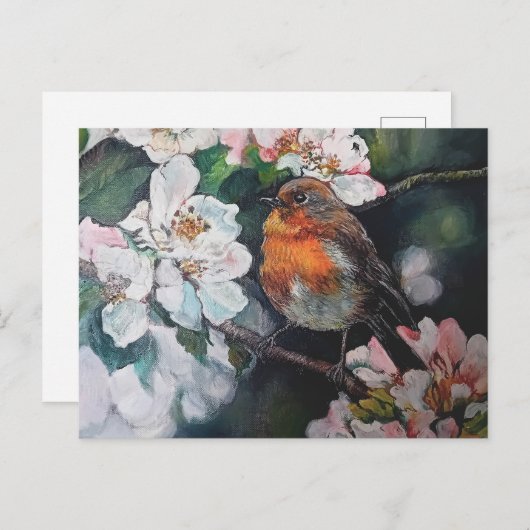 Carte Postale Robin aux fleurs de cerisier (Devant / Derrière)