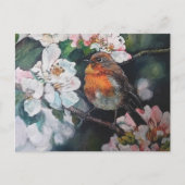 Carte Postale Robin aux fleurs de cerisier (Devant)