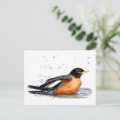 Carte Postale Robin Baigning (Debout devant)